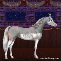 Horse Color:Watercolor Silver Brown Splash