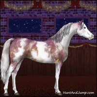 Horse Color:Watercolor White Spotted Silver Brown Splash 