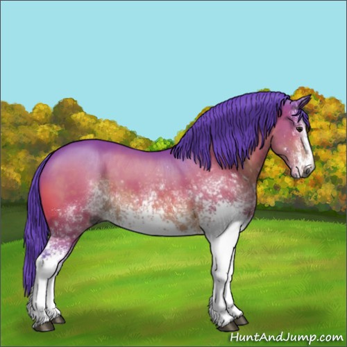 Horse Color:Gray Watercolor White Spotted Brown