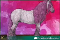 Horse Color:Gray Watercolor Red Ice Roan