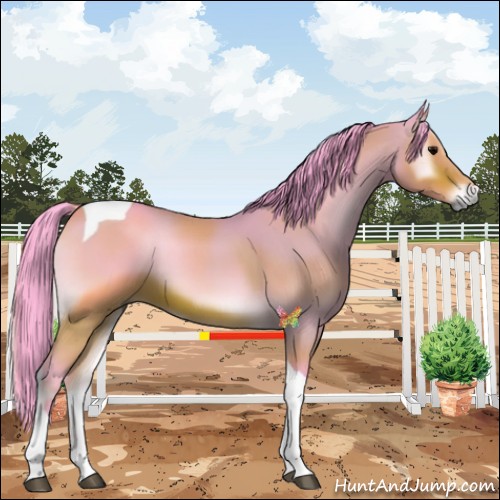 Horse Color:Watercolor Bay Onyx Tobiano