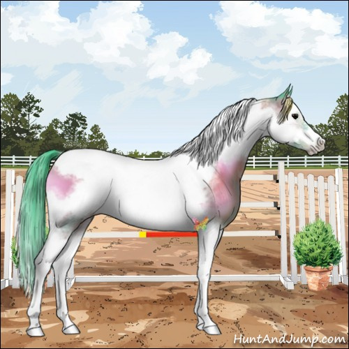 Horse Color:Watercolor Buckskin Onyx Splash Tobiano Frame