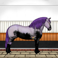 Horse Color:Void Watercolor White Spotted Amber Champagne Frame Rabicano