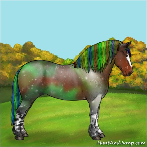 Horse Color:Gray Painted White Spotted Bay Roan 
