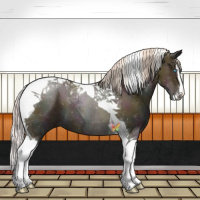 Horse Color:Watercolor Midnight Silver Amber Cream Champagne Ice Pearl Splash Tobiano
