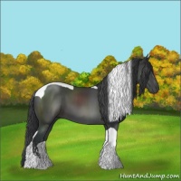 Horse Color:Black Sabino Tobiano 