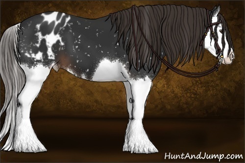 Horse Color:Liver Chestnut Splash Snowflake Varnish