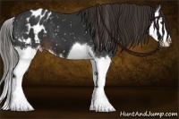 Horse Color:Liver Chestnut Splash Snowflake Varnish 
