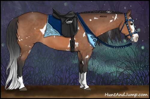 Horse Color:White Spotted Bay Splash 