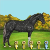 Horse Color:Liver Chestnut Mushroom Appaloosa