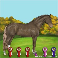 Horse Color:Chocolate Palomino Mushroom Varnish