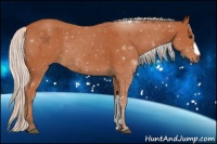 Horse Color:Silver Bay