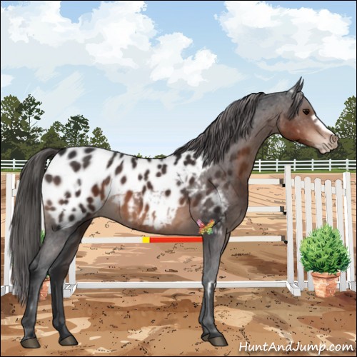 Horse Color:White Spotted Brown Frame Blanket 