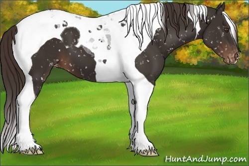 Horse Color:Liver Chestnut Tobiano Snowflake Varnish 