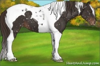 Horse Color:Liver Chestnut Tobiano Snowflake Varnish 