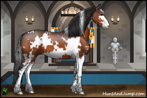 Horse Color:White Spotted Brown Sabino