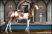 Horse Color:White Spotted Brown Sabino