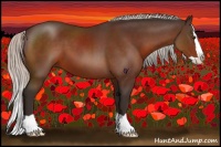 Horse Color:Silver Brown Splash 