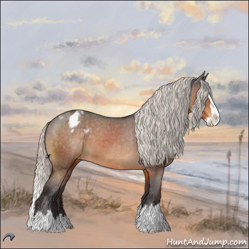 Horse Color:Silver Buckskin Sabino Splash Appaloosa