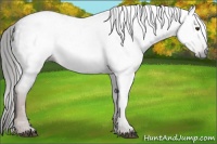 Horse Color:Gray Liver Red Roan 
