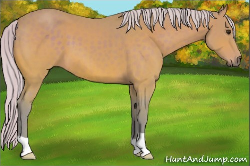 Horse Color:Watercolor Silver Brown 