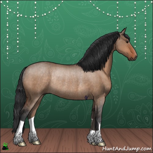 Horse Color:Brown Dun Rabicano 
