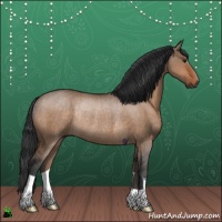 Horse Color:Brown Dun Rabicano 