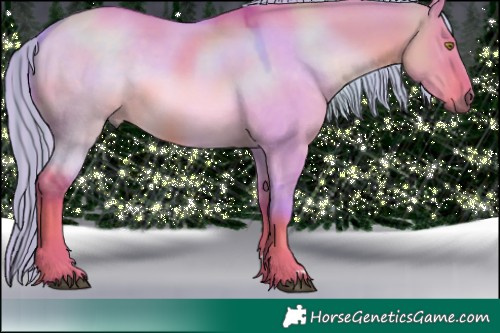 Horse Color:Painted Watercolor Red Dun Mushroom