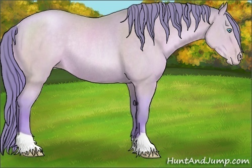 Horse Color:Watercolor Buckskin Pearl Rabicano 