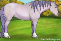 Horse Color:Watercolor Buckskin Pearl Rabicano 