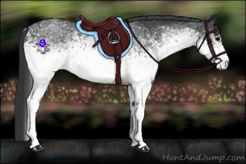 Horse Color:White Spotted Black 