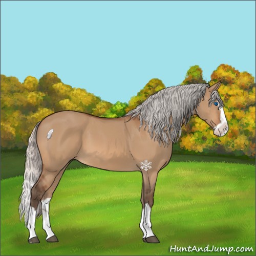 Horse Color:Silver Bay Dun Splash 