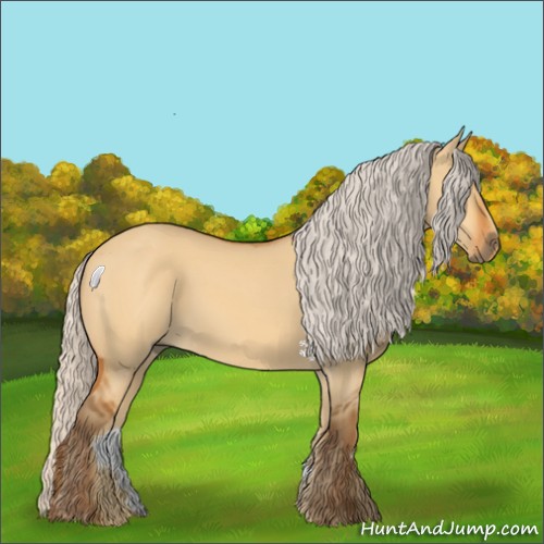Horse Color:Silver Buckskin Dun 