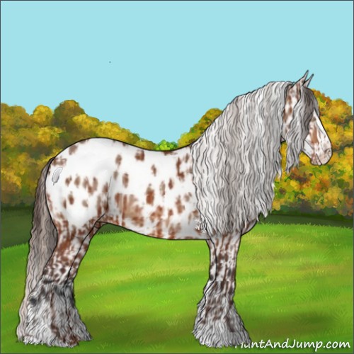 Horse Color:Silver Bay Sabino Blanket and Bay Roan Dun Splash Near Leopard
