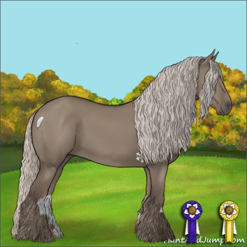 Horse Color:Silver Grullo 