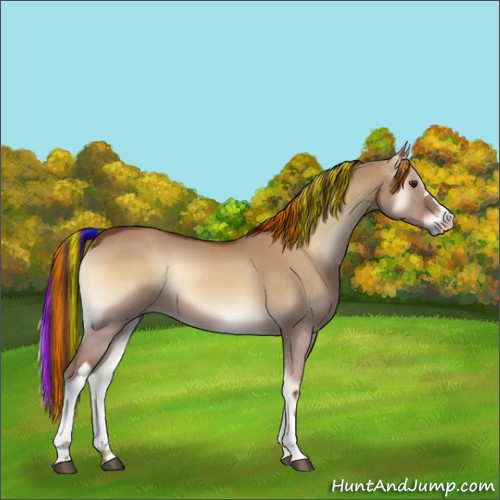 Horse Color:Painted Red Dun Onyx 