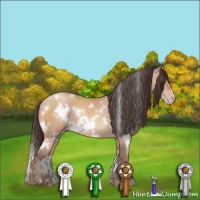 Horse Color:White Spotted Sable Champagne 