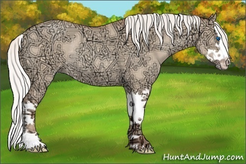 Horse Color:Silver Amber Champagne Ice Roan Dun Sabino Splash Rabicano