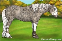 Horse Color:Silver Amber Champagne Ice Roan Dun Sabino Splash Rabicano 