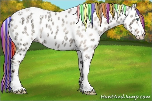 Horse Color:Painted Gold Champagne Ice Roan Dun Splash Tobiano Appaloosa