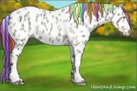 Horse Color:Painted Gold Champagne Ice Roan Dun Splash Tobiano Appaloosa 