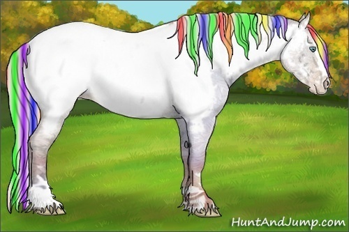 Horse Color:Painted Silver Classic Champagne Ice Roan Dun Splash Appaloosa Rabicano 