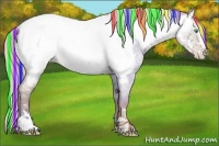 Horse Color:Painted Silver Classic Champagne Ice Roan Dun Splash Appaloosa Rabicano 