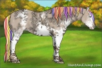 Horse Color:Painted White Spotted Gold Champagne Ice Dun Splash 