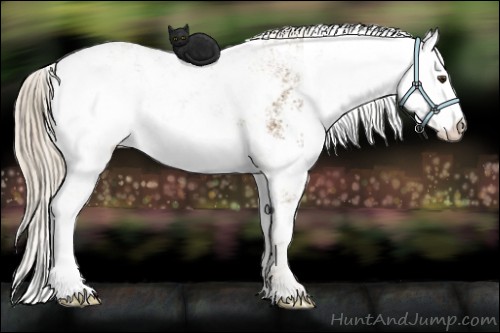 Horse Color:Chocolate Palomino Sabino 