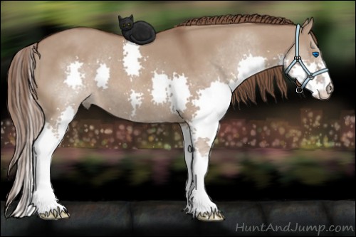 Horse Color:Liver Red Dun Splash 