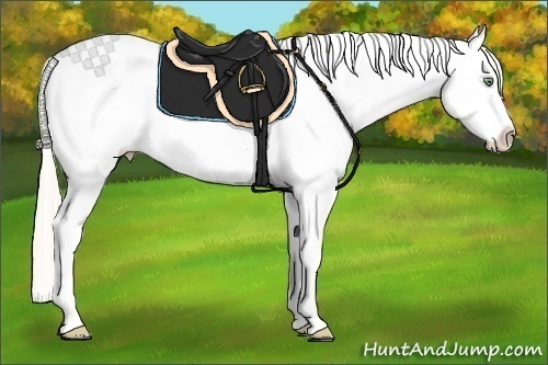 Horse Color:Gold Cream Champagne Splash Appaloosa 