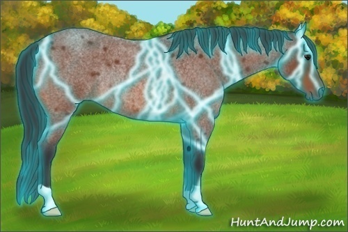 Horse Color:Thunderstruck Bay Roan Rabicano