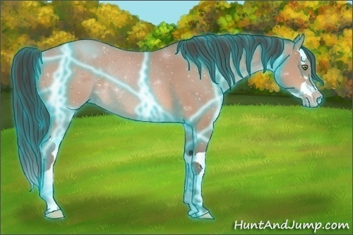 Horse Color:Thunderstruck Amber Champagne Splash Rabicano 