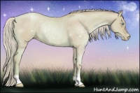 Horse Color:Watercolor Palomino Pearl Rabicano 